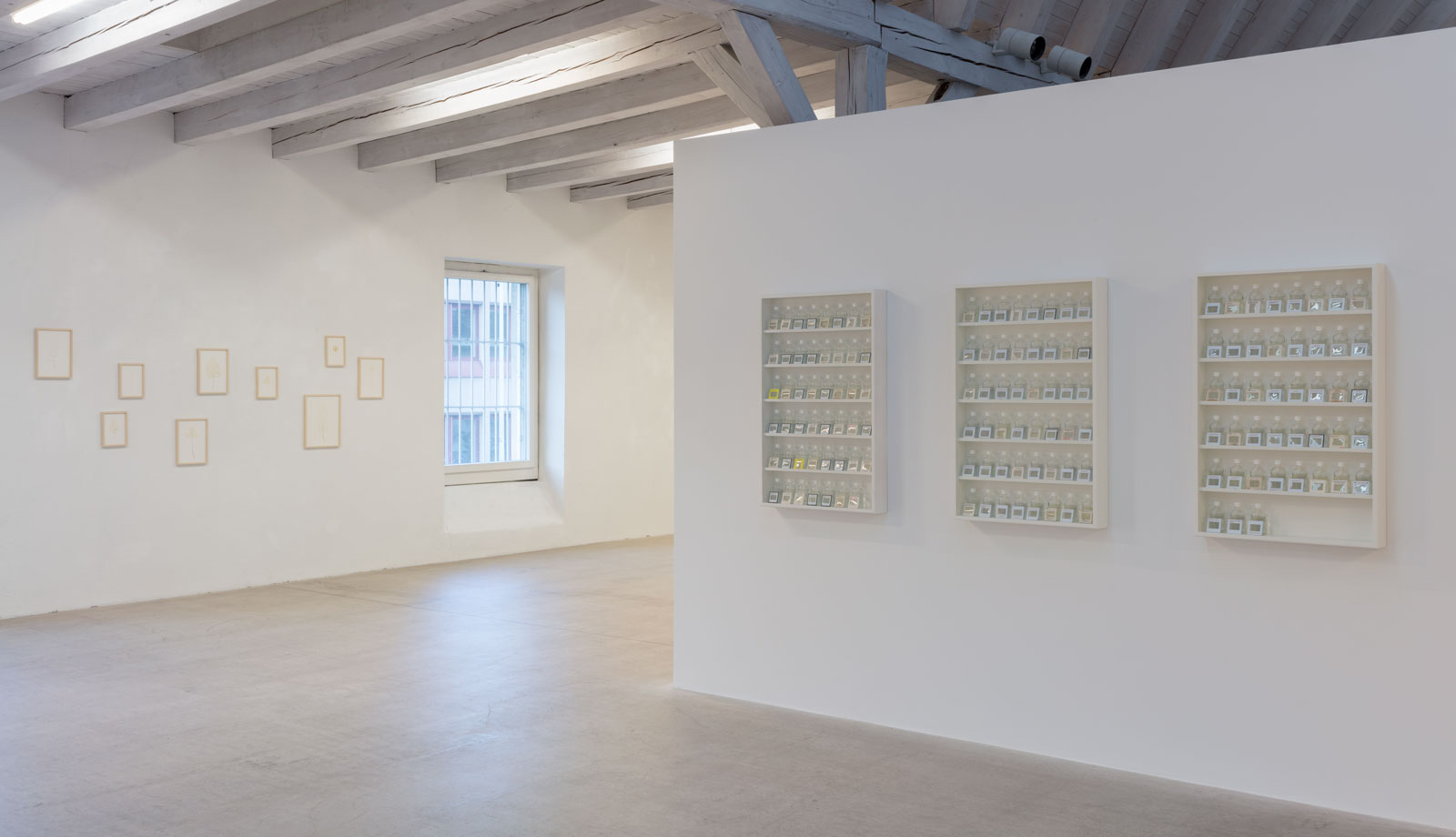 anna-sabina-zuerrer-apokope-manuelawurchguedelstiftung